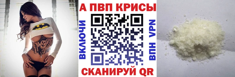 APVP СК  kraken как войти  Каргат 