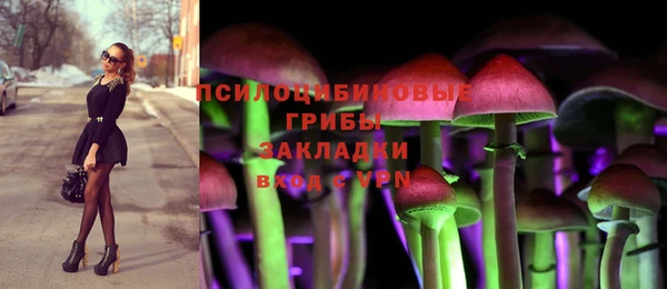 прущие грибы Заводоуковск