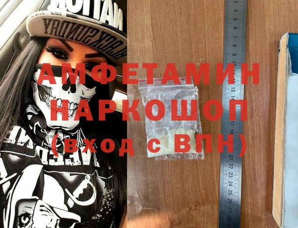 прущие грибы Заводоуковск
