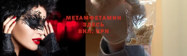 прущие грибы Заводоуковск