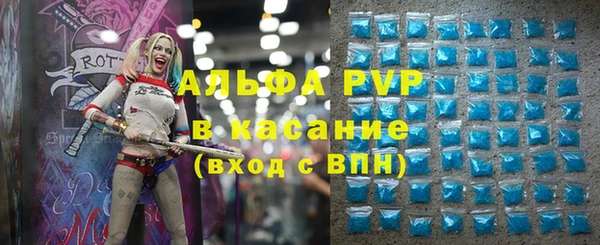 прущие грибы Заводоуковск