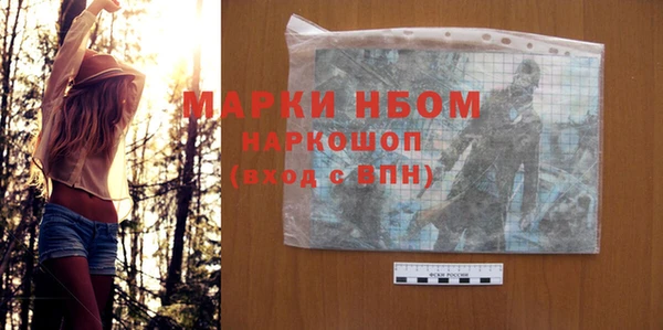 прущие грибы Заводоуковск