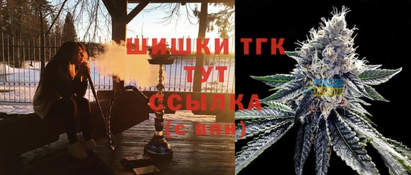 прущие грибы Заводоуковск