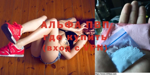 прущие грибы Заводоуковск