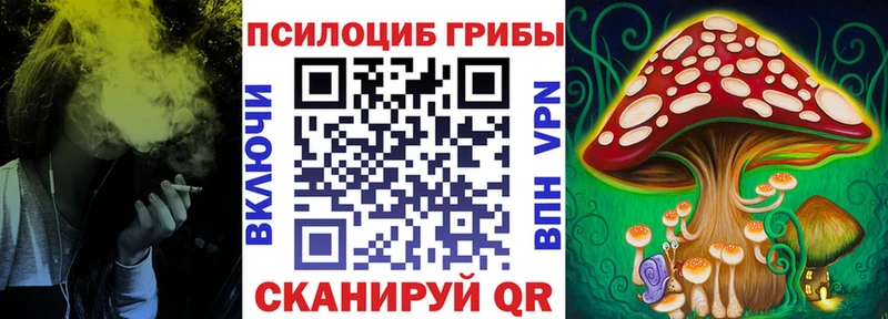 как найти   МЕГА вход  Галлюциногенные грибы Cubensis  Каргат 